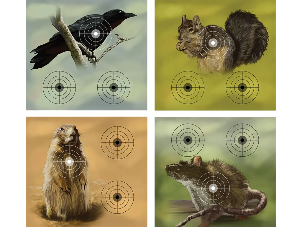 Crosman Varmint Paper Targets