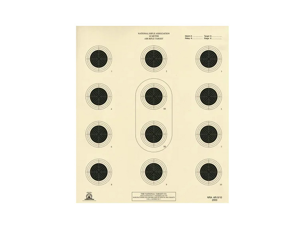 NRA Target - 100 Papers