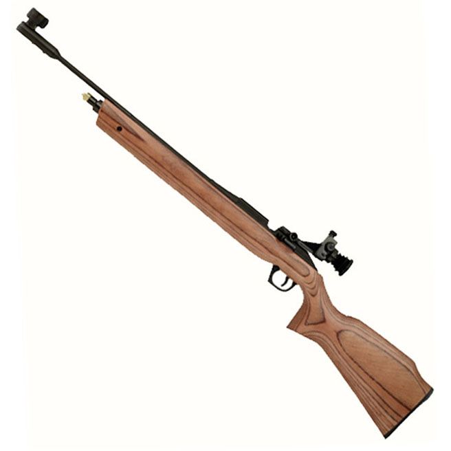 Daisy 887 Gold Medalist Competition CO2 Pellet Rifle