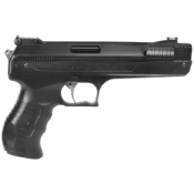 Beeman 2004 Single-Stroke Pneumatic Gun