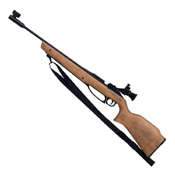Daisy Avanti 753 Air Pellet Rifle