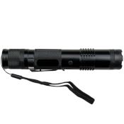 Stun gun w/ Torch and Sheath