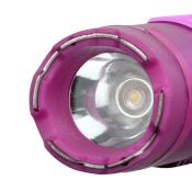 Stun gun w/ Torch and Sheath