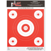 9x12 Bullseye Day Glow Heavy Target Paper