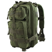 Nighthawk 25L Assault Pack