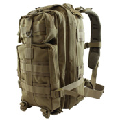 Nighthawk 25L Assault Pack