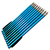 Steambow AR-6 Stinger Aluminium Target Arrows